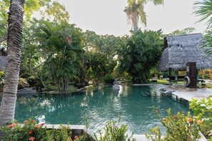 Alberca al aire libre y camastros