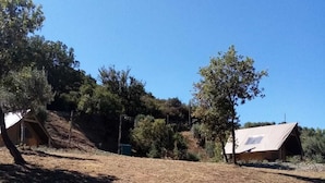 Un campo seco y cubierto de hierba con dos cabañas de madera, una con techo inclinado y otra con techo plano, rodeadas de árboles y un cielo azul despejado.
