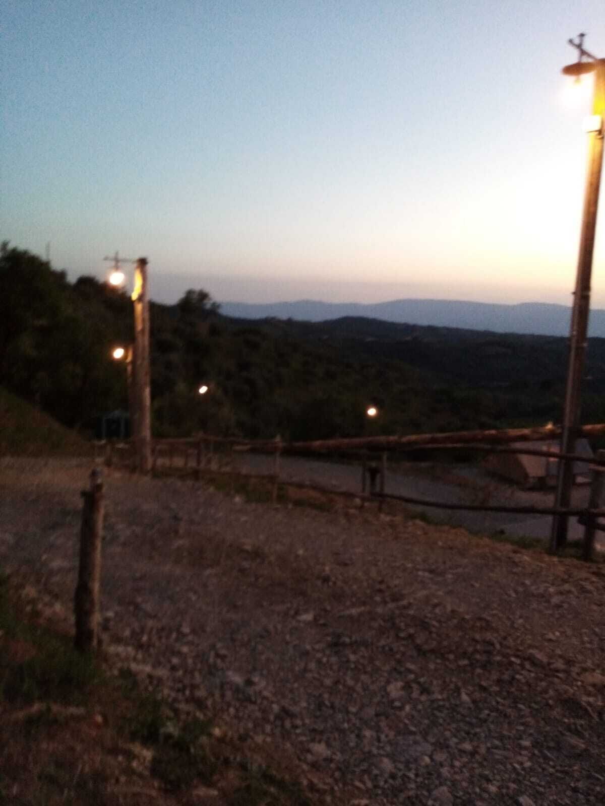 A gravel path with a wooden fence and street lamps.