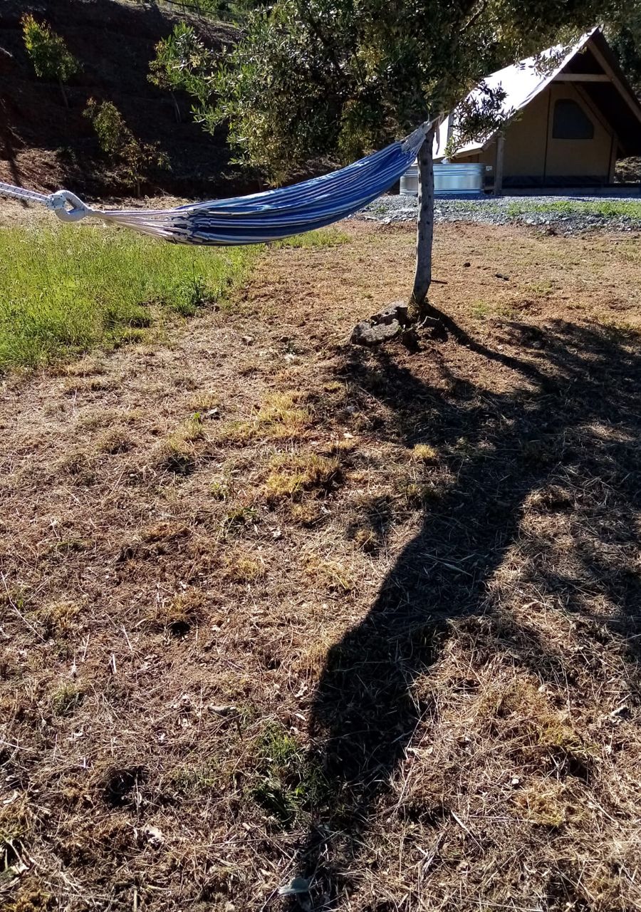 A hammock tied between two trees in a grassy area with a building in the background.