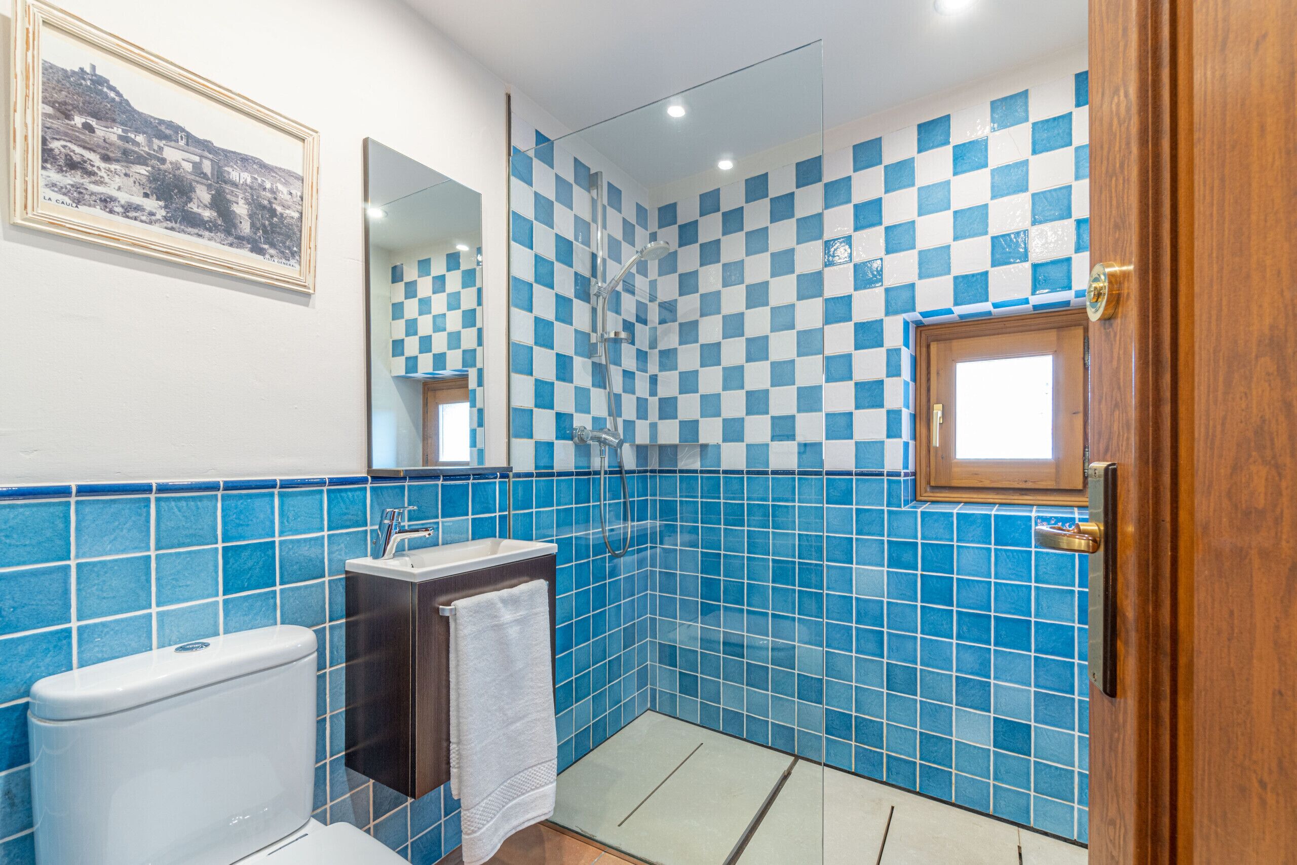 A bathroom with blue checkered tiles, a white toilet, a wooden cabinet, and a framed picture on the wall.