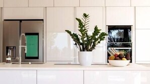 Cozinha moderna com armários brancos, uma planta em vaso e uma tigela de frutas na bancada.