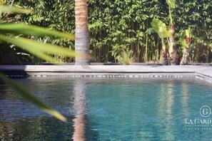 Et klart pool med flisekant, omgivet af frodigt grønt og en palme.
