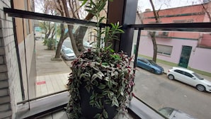 A potted plant on a windowsill with a view of a street and parked cars outside. - Estudio en Palermo 4 (Buenos Aires)