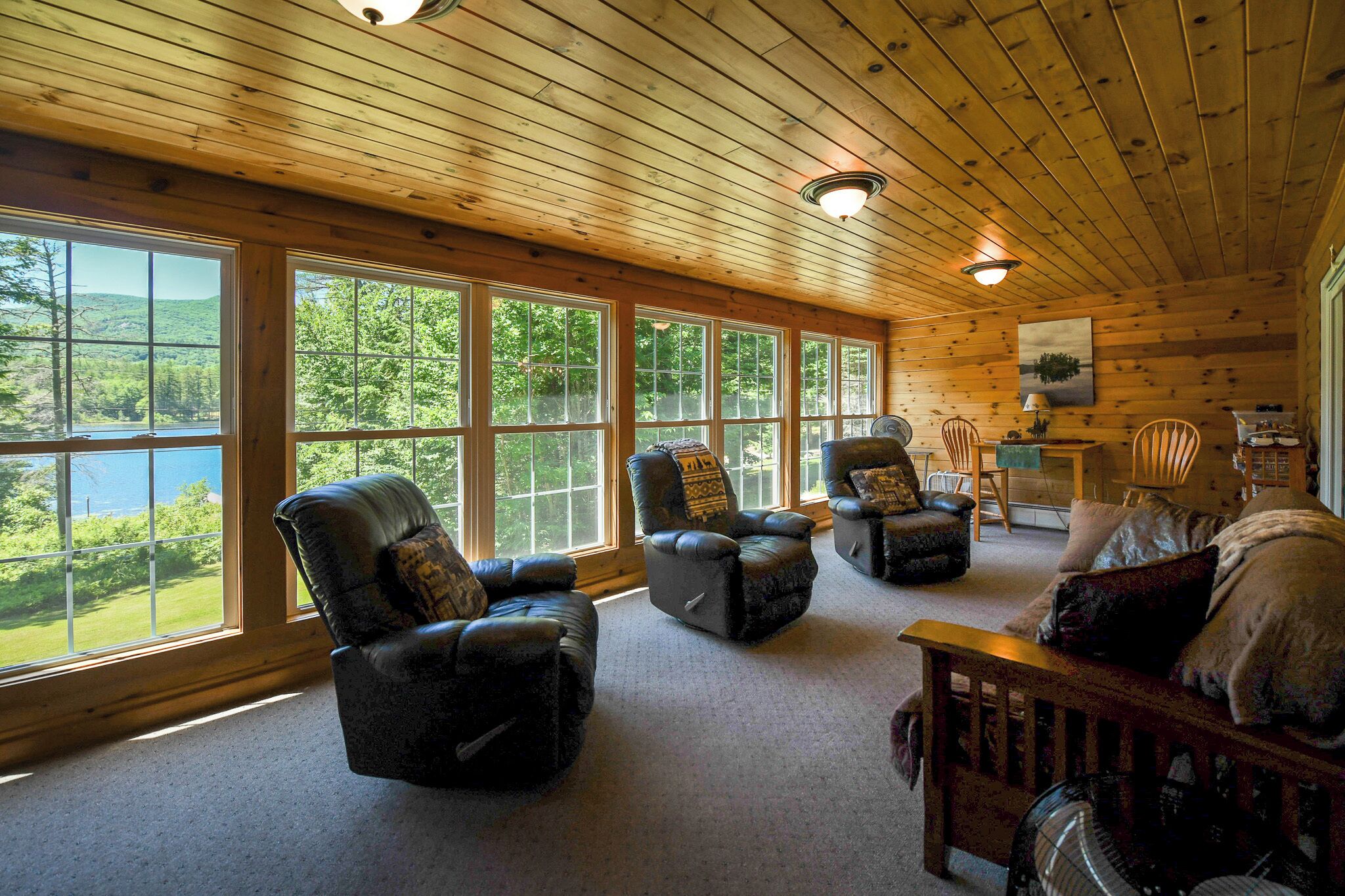 電視、DVD 播放機