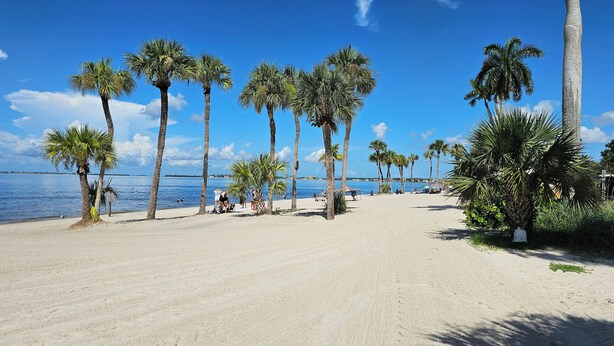 Una spiaggia sabbiosa con palme e un cielo azzurro limpido.