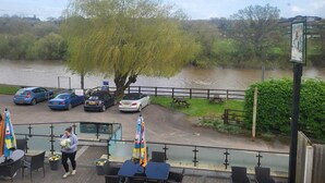 A riverside view with a tree, parked cars, and outdoor seating.