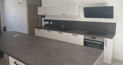 1 bedroom apartment in villeurbanne