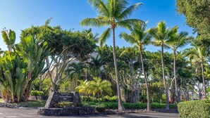 Condo, Multiple Beds (Keauhou Kona Surf & Racquet Club Town) | Property grounds - Keauhou Kona Surf & Racquet Club Townhouse#182 (Kailua-Kona)