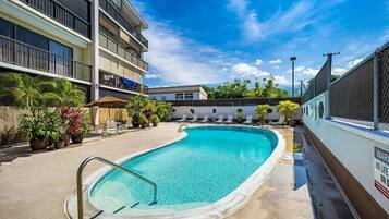 Condo, 1 Queen Bed with Sofa bed (Kona Plaza#218) | Pool