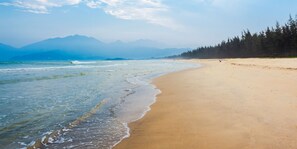 Una playa cerca, 15 bares en la playa