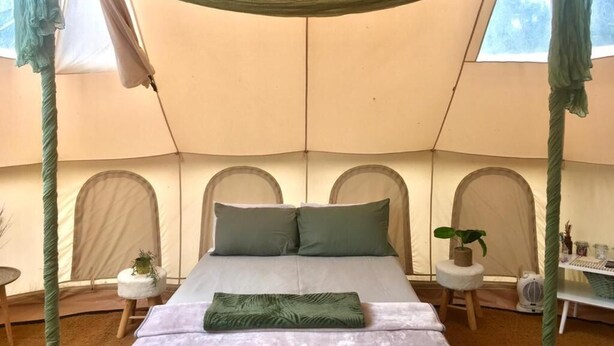 A tent with a bed, a hammock, and a small table with a plant. - Bell Tent Village (Nottingham)