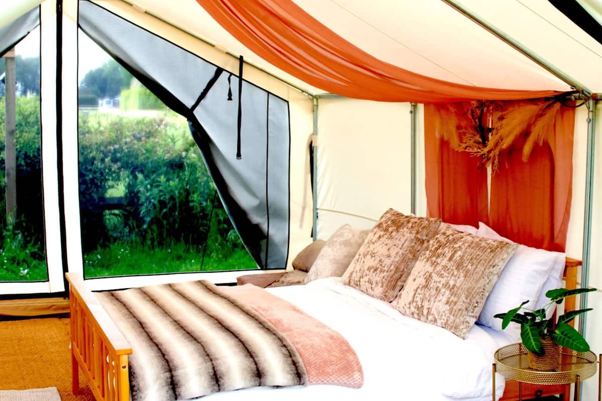 Ein Zeltraum mit Bett, Fenster und einer Pflanze.