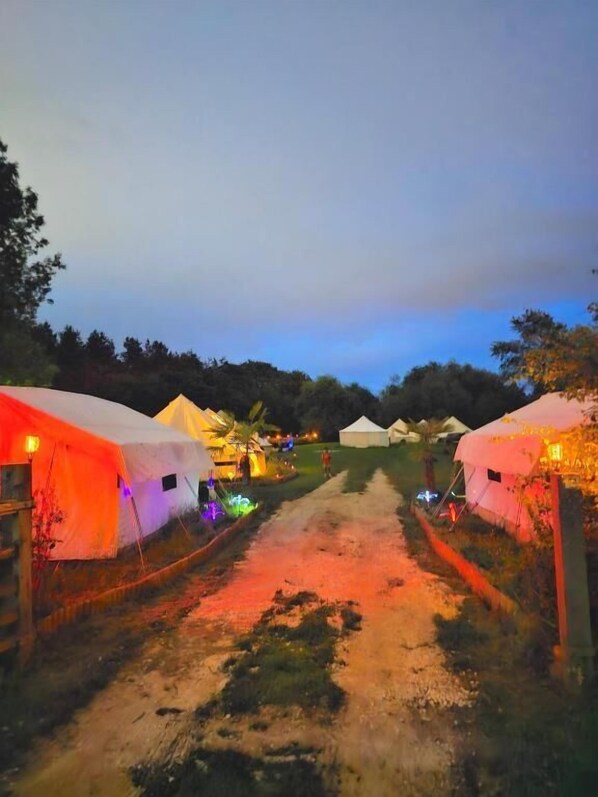 A campsite with multiple tents arranged in rows along a dirt path.
