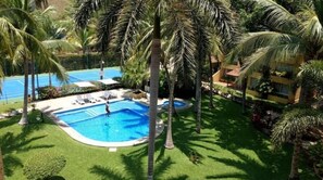 Relax by the serene pool surrounded by lush greenery and palm trees.