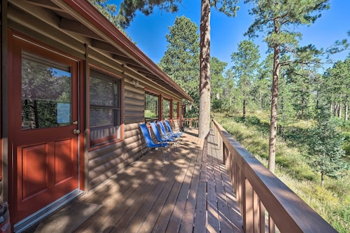 Cozy Mountain Retreat at the Base of Pikes Peak!