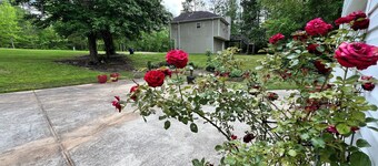 Villa Rica Suburbs – Minutes Away from Six Flags Over Georgia!