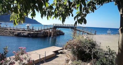 Villa Anna - Holiday House Palinuro