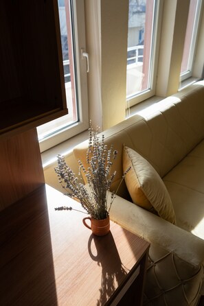 Televisie en een open haard