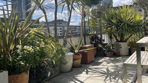 A rooftop terrace with potted plants, a wooden table, and a large umbrella. - Two bedroom flat in Hoxton, sunny terrace, 10 mins from Old Street tube station (London)