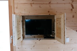 Television