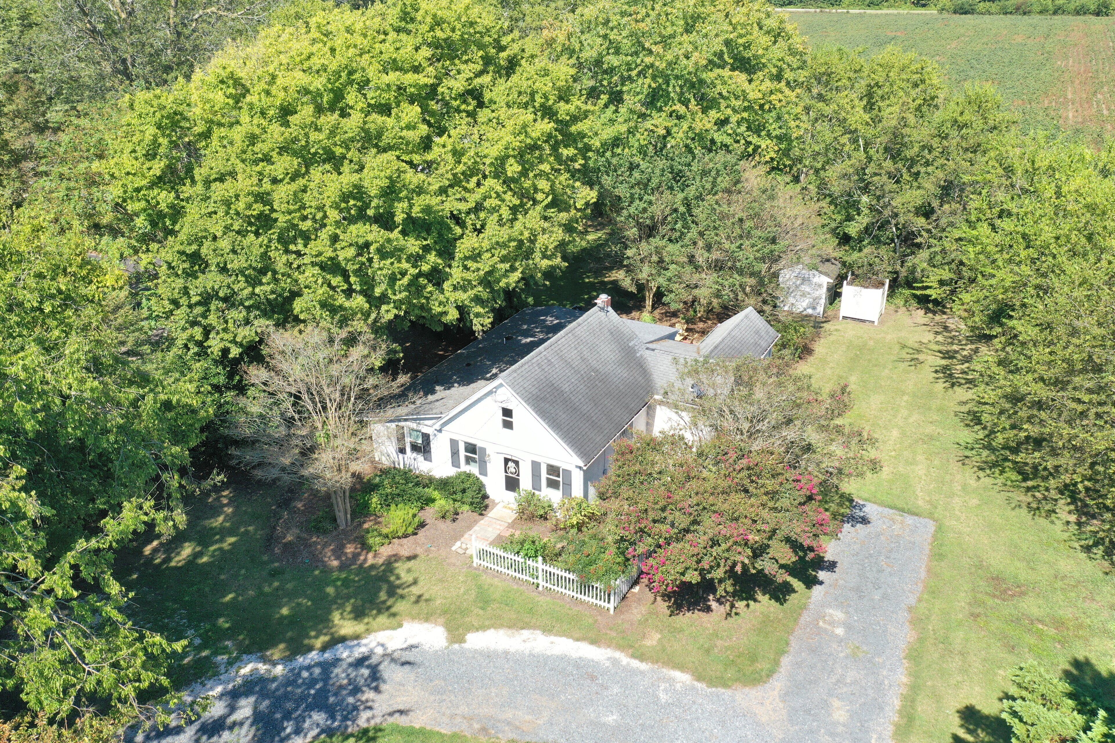An aerial view of a house surrounded by dense green trees, with a white picket fence and a paved driveway.