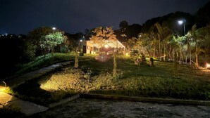 Un bâtiment bien éclairé, accessible par un chemin, entouré de verdure et de palmiers.