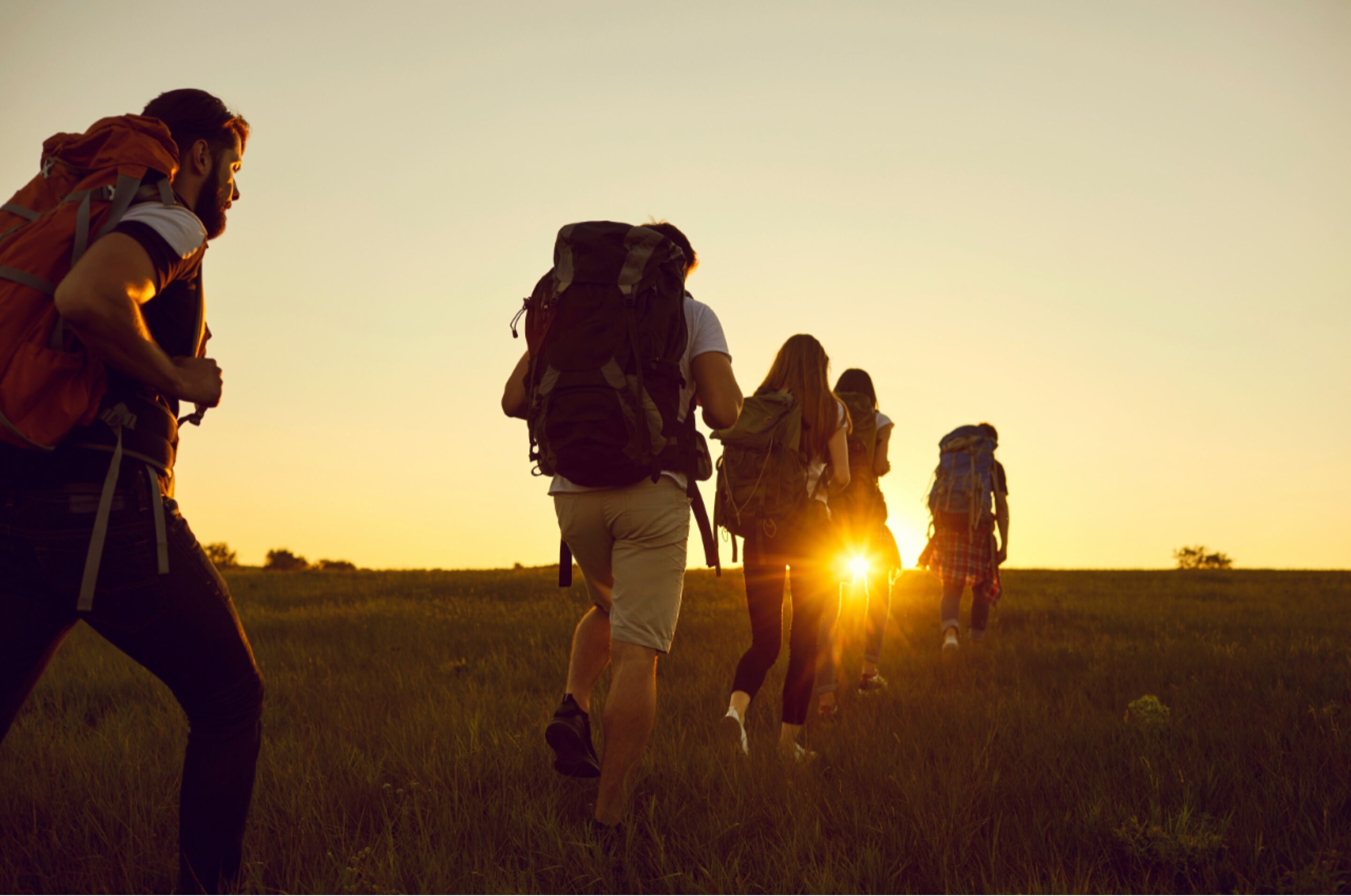 A group of people hiking in a field during sunset.