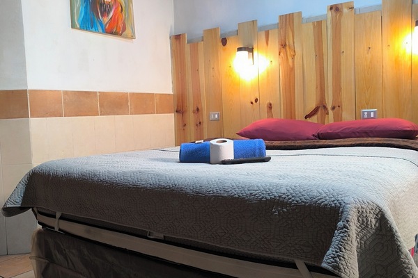 舒適單人房 | 高級寢具、羽絨被、獨特裝潢、布置獨特