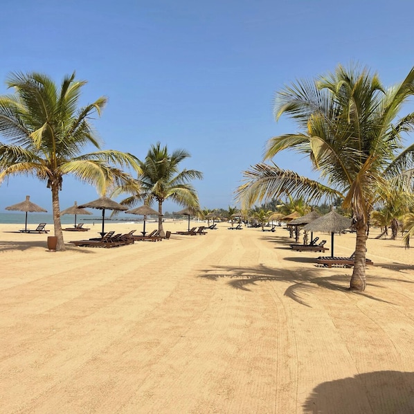 Une plage bordée de rangées de palmiers, de chaises longues et de parasols en feuilles de palmier.