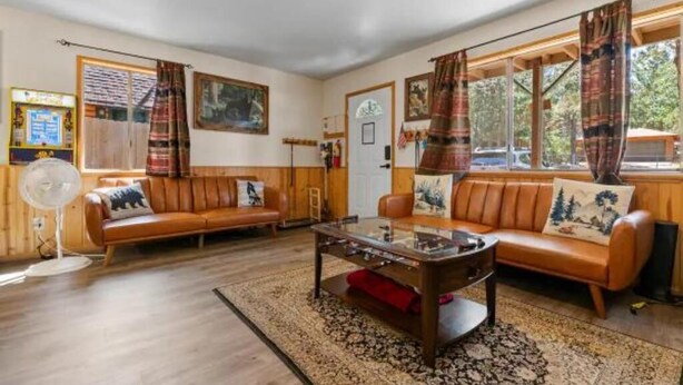 Living area - Cozy 2 Bedroom Cabin, Pet-Friendly, Fenced Yard & Air Conditioner (Big Bear)
