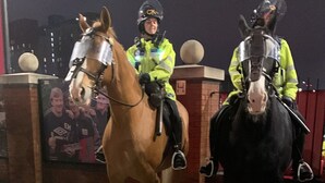 Three horses with riders, possibly police officers, standing on a paved surface at night. - Ocean villa (Nassau)