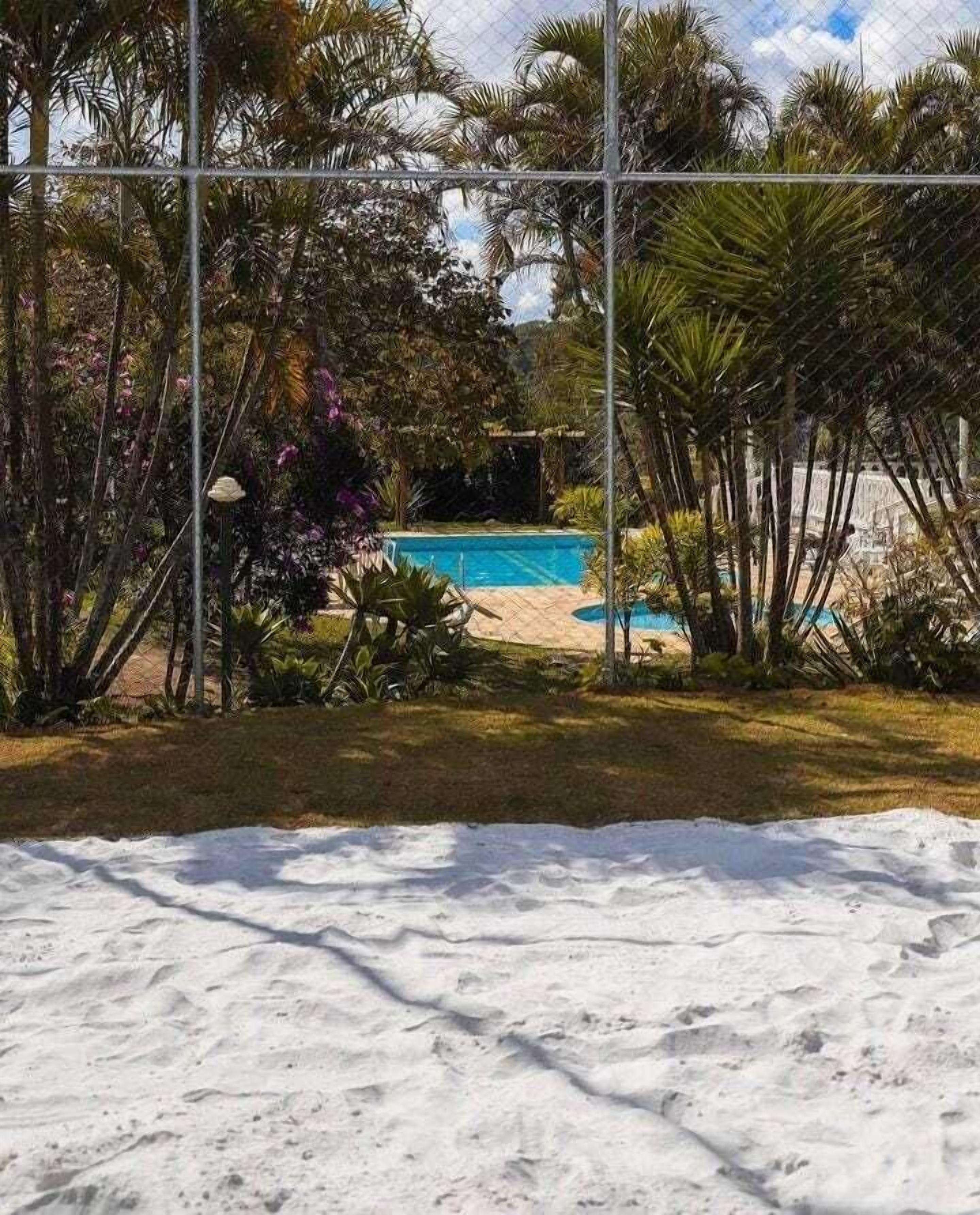 Zona de piscina con un primer plano arenoso, rodeada de diversas plantas tropicales y una piscina azul cristalina.