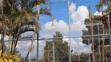 Uma área cercada com palmeiras e céu claro.