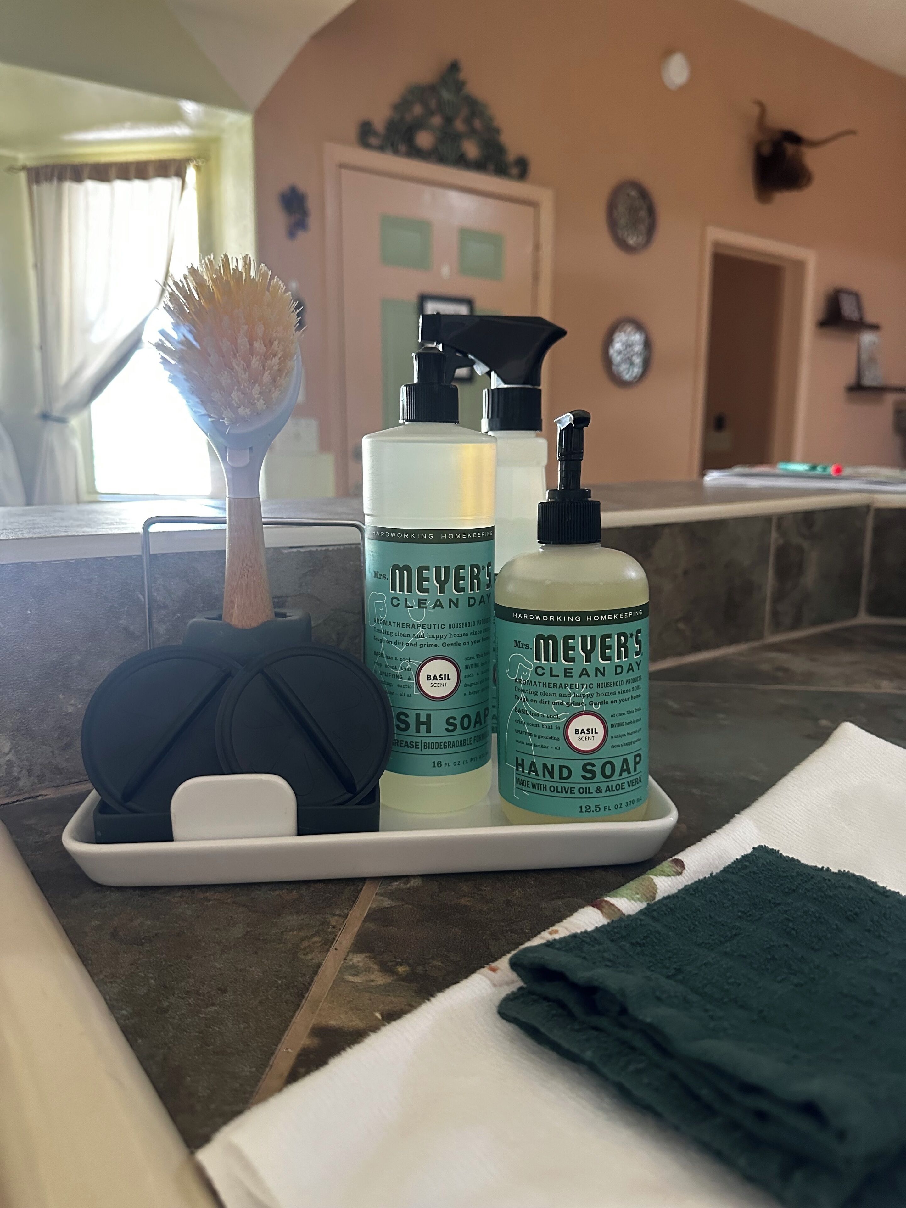 Ein Badezimmer-Waschtisch mit einer Haarbürste, zwei Flaschen Meyer’s Clean Day Seife und einem gefalteten grünen Handtuch.
