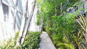 A narrow concrete pathway flanked by lush greenery and tall trees, leading to a building with a white facade and dark window frames. - West Deco Boutique Apartments (Miami Beach)
