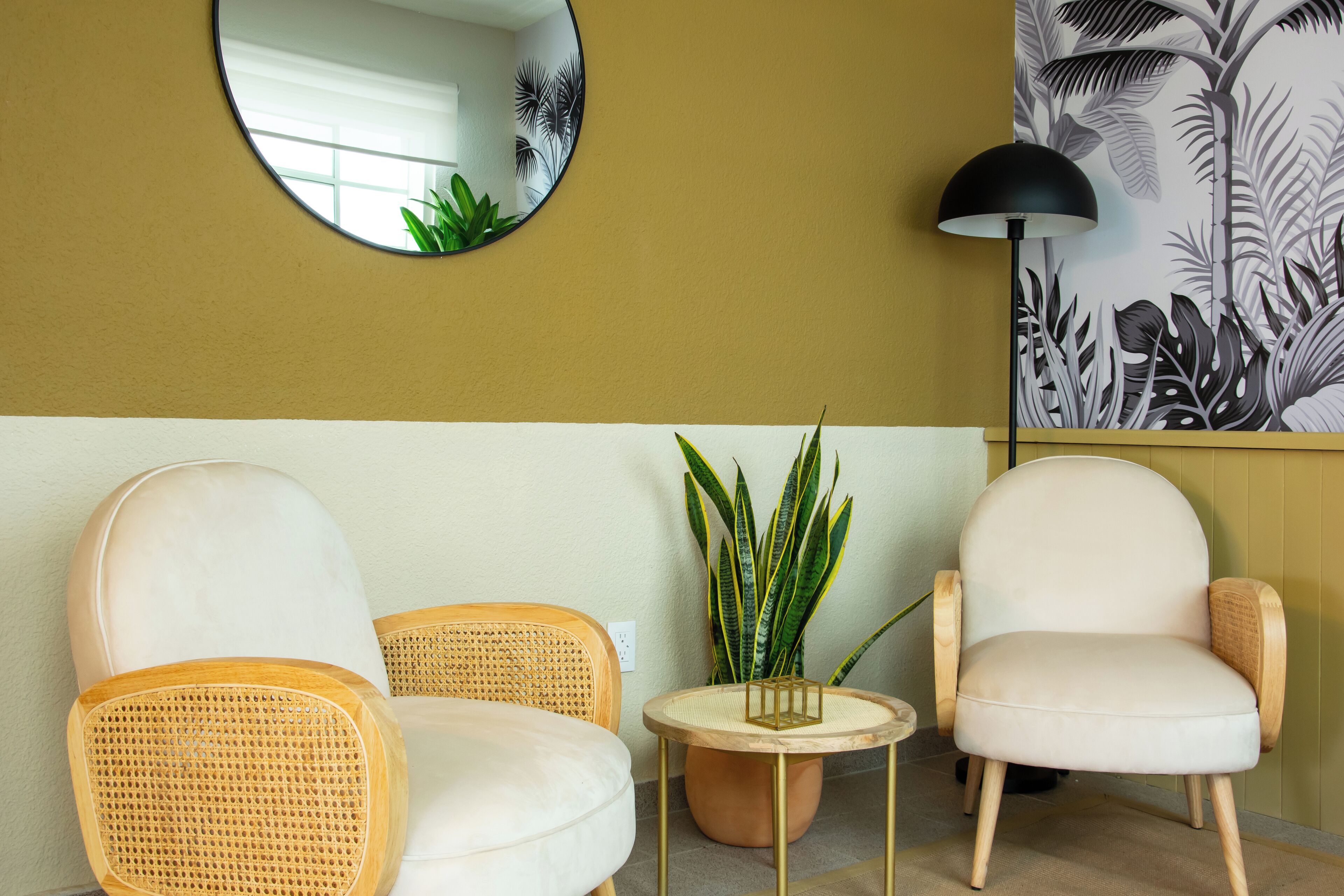 A room with a round mirror, a potted plant, and two chairs.