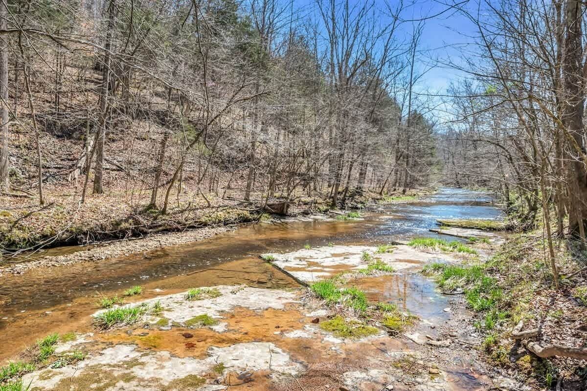 A river flowing through a forested area with clear water and patches of ice or snow on the ground.