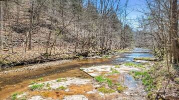 A river flowing through a forested area with clear water and patches of ice or snow on the ground.