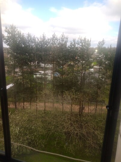 Like family or employees for masters