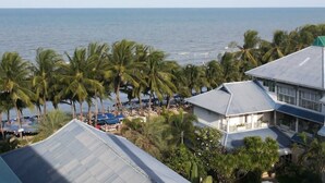 Un hotel costero con varias edificaciones, palmeras y vista al océano.