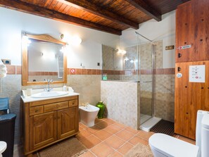 Shower, hair dryer, bidet, towels