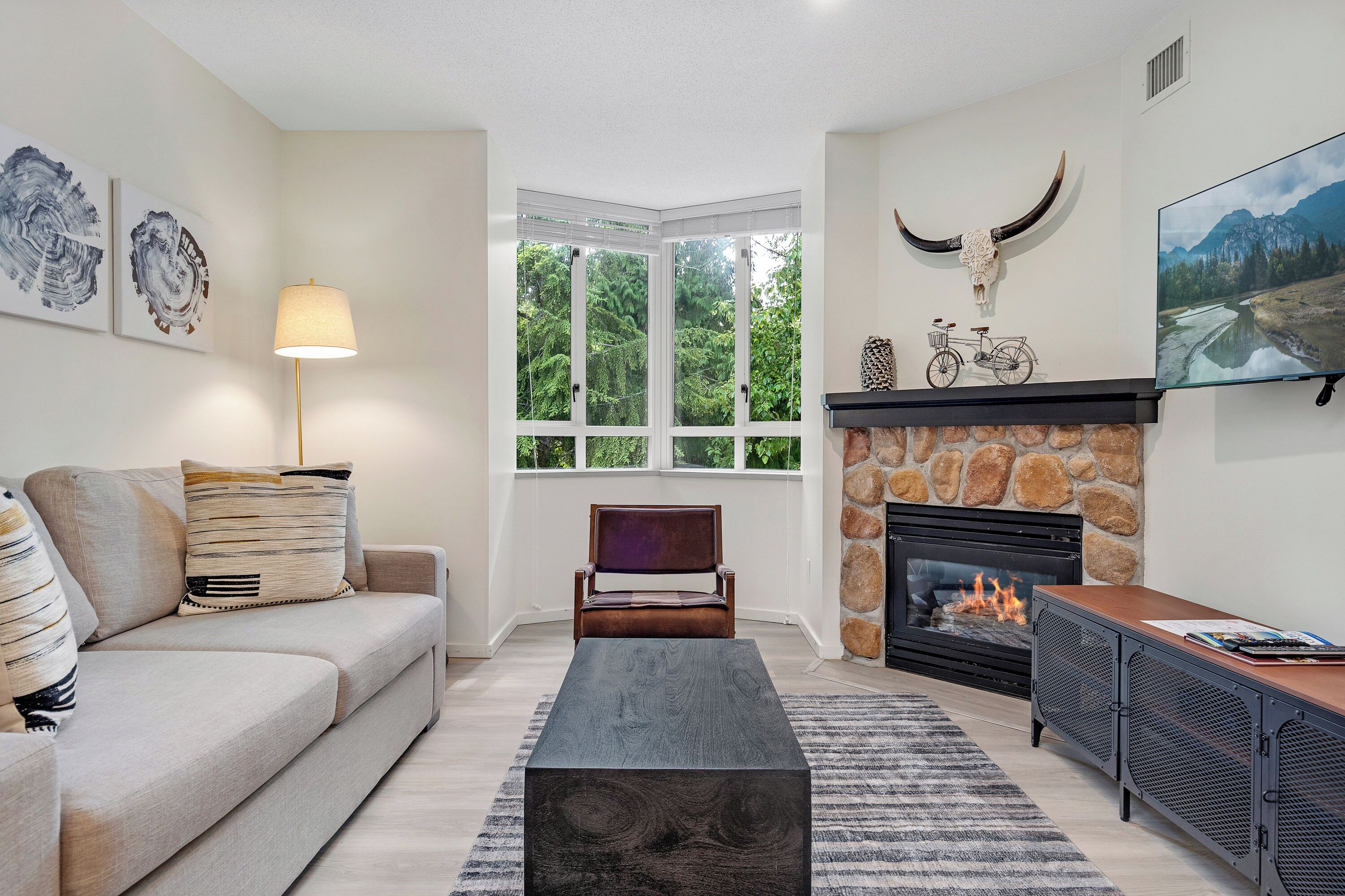 华丽公寓 | 起居区 | 25-英寸等离子电视（配备有线频道）