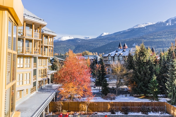 Premium Apartment | View from room