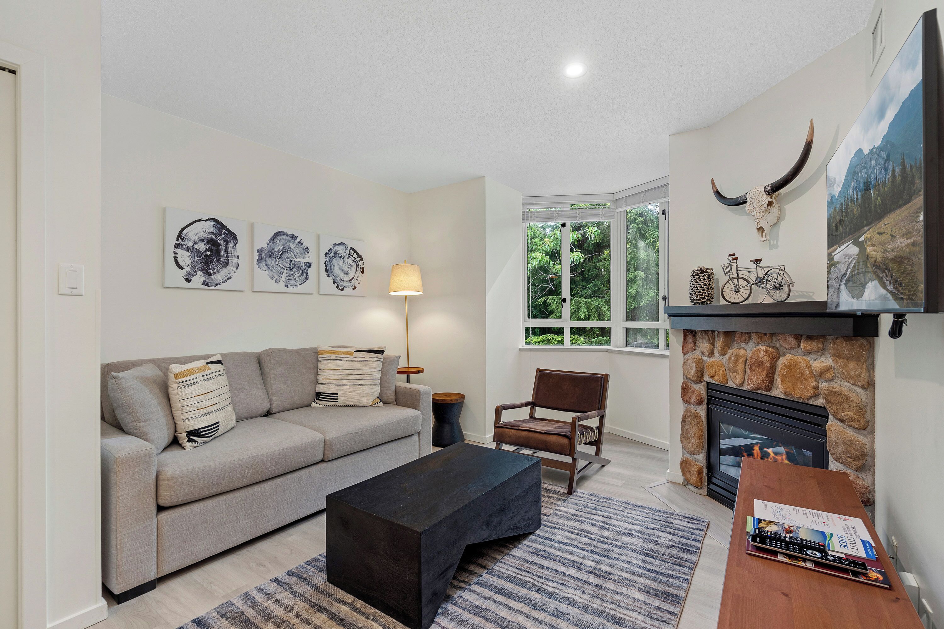 Leilighet – deluxe | Oppholdsområde | En 25-tommers plasma-TV med kabel-kanaler