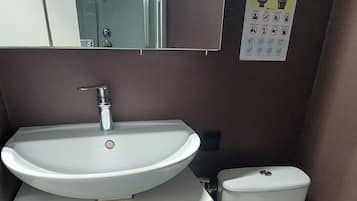 Secadora de cabello y papel de baño