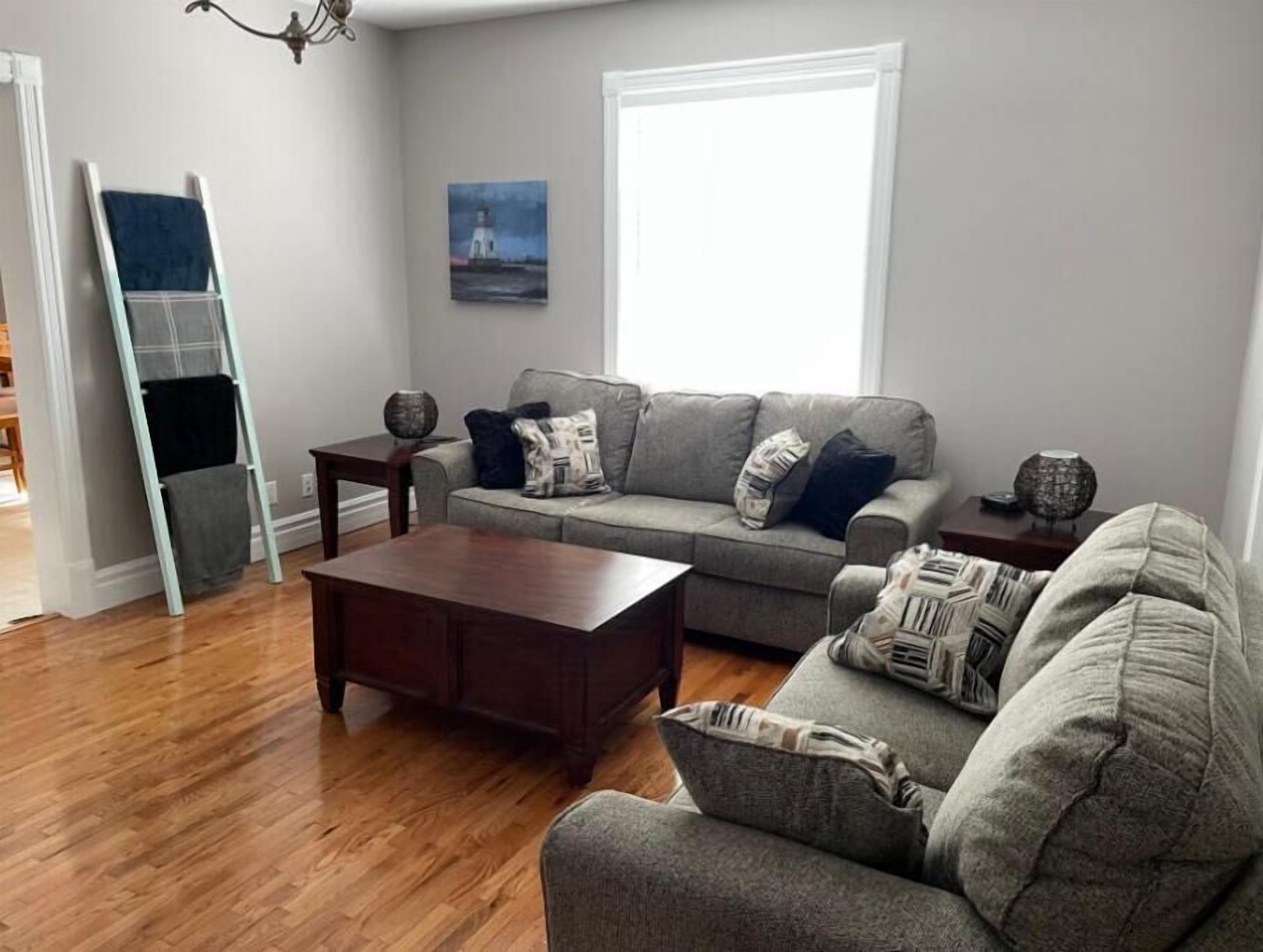 智能电视、壁炉、DVD 播放器