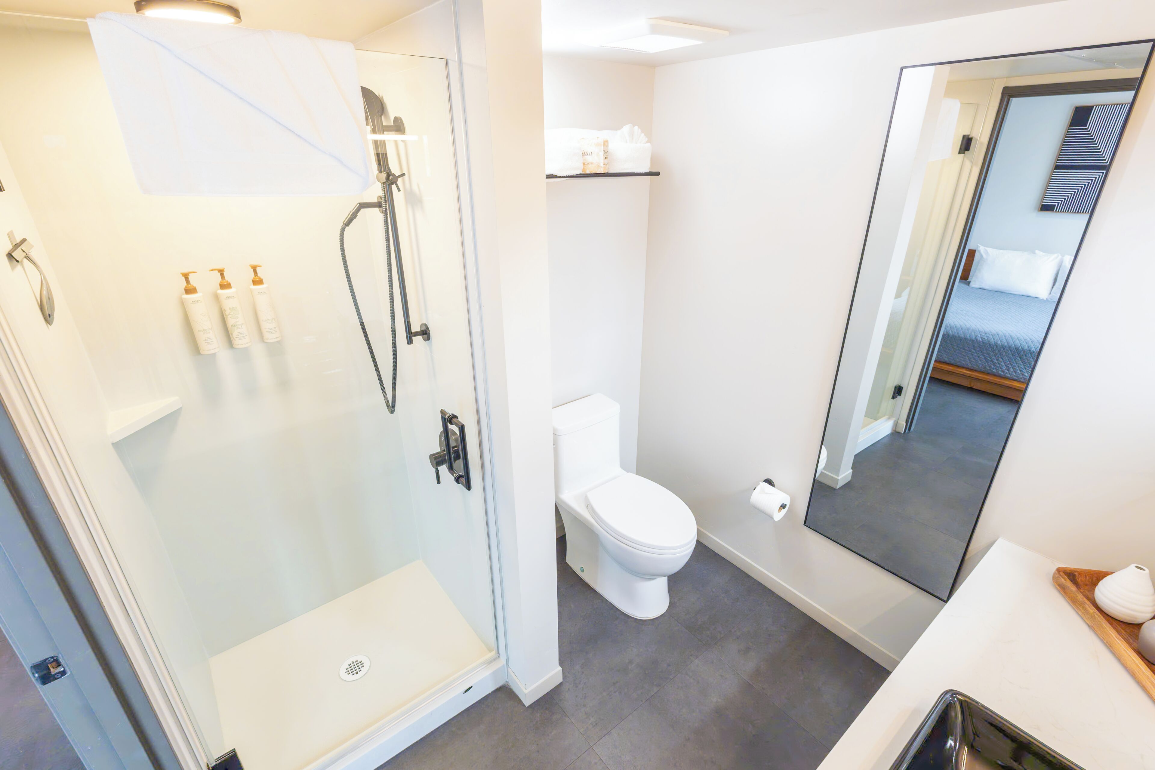 Une salle de bain moderne avec une douche à parois de verre, des toilettes et un grand miroir.