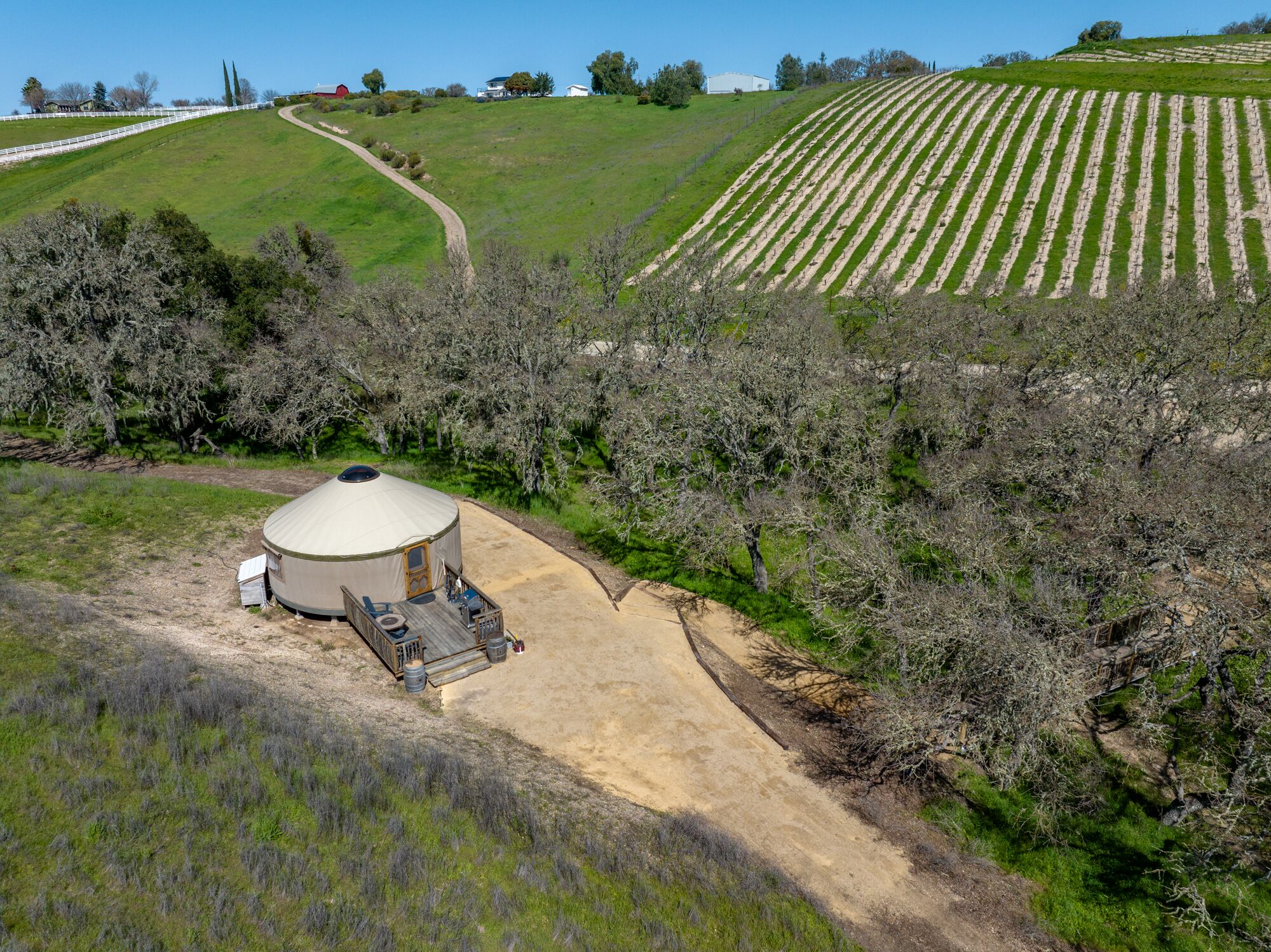 Wine Country Yurt Paso Robles