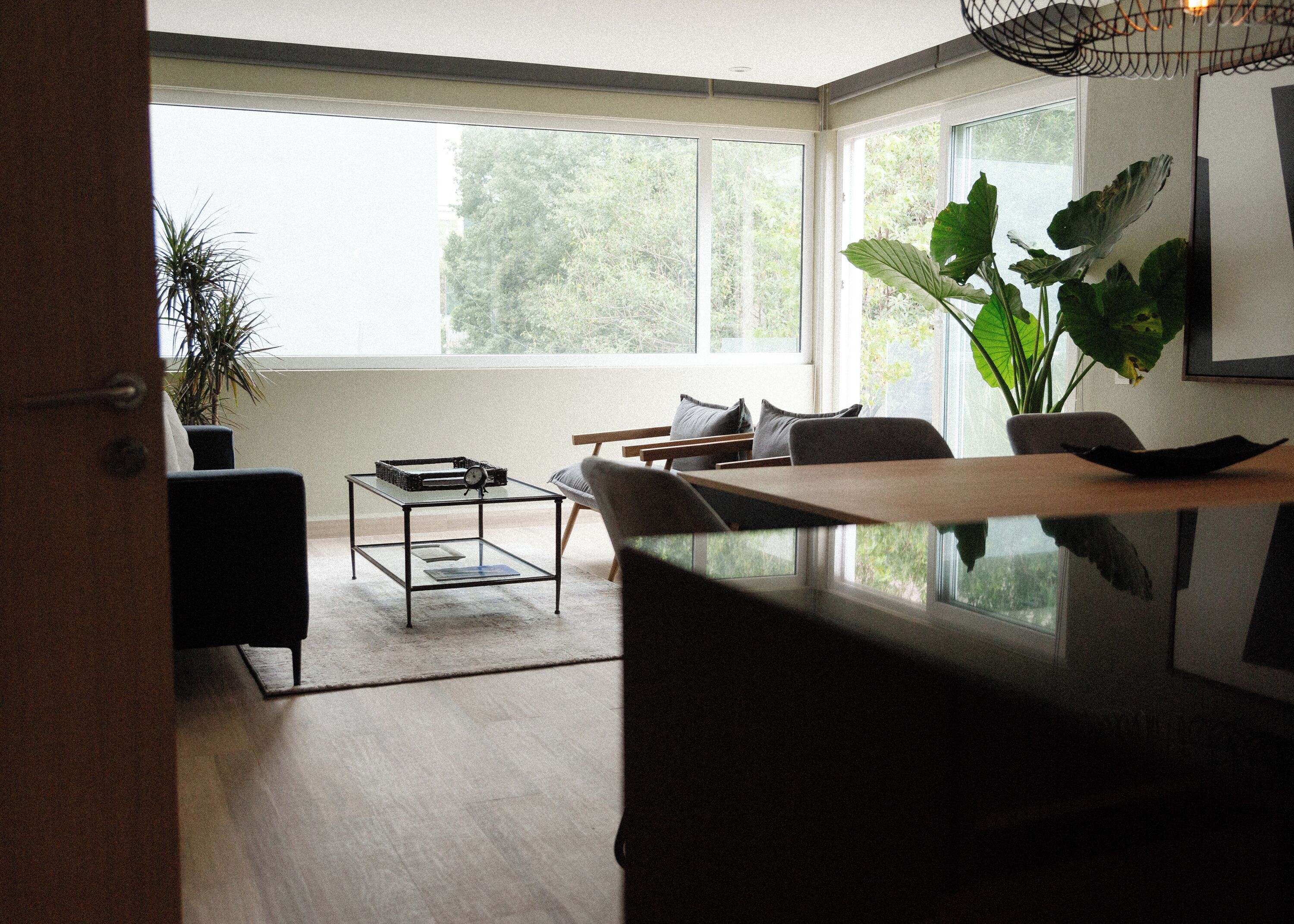 A modern living room with a glass coffee table, a sofa, and a large plant.